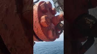 Rust conditions in offshore  #offshore #viralvideo #shorts #oilandgas #aramco #mechanical