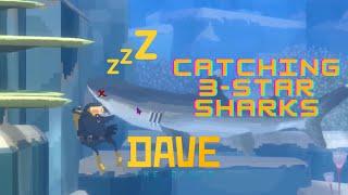 Dave The Diver Tips Guide  Dave the Diver 3 Star Shark and Large Fish