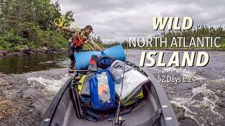 52 Day Wild North Atlantic Island Camping Adventure - E.2 - Rare Wildlife Encounter & Untamed Nature