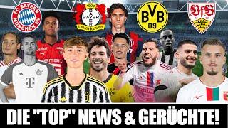 BAYERN GIBT GAS  LEVERKUSEN IV KANDIDATEN  CHERKI BVB FIX? B. GITTENS BARCA?  VFB DEMIROVIC?