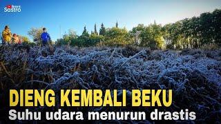 KEMBALI BEKU  SUHU DIENG MENURUN DRASTIS HINGGA MINUS