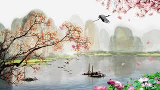 Cherry Blossoms Fall Beautiful Chinese Relaxing Music for Meditation Healing Sleep