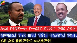 አዲስ የተቋቋመው የመረጃና ደህንነት ግብረ ኃይልአምባሰል. ገንዳ ውሃ. ግሸን. ተለያዬን. ኮኪት.10 September 2024