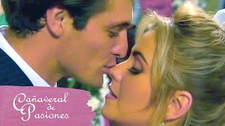 Cañaveral de pasiones Julia y Pablo deciden ser felices  C-92  tlnovelas