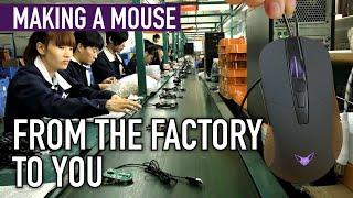 Why We Made a Mouse Factory Tour Travel to China Etc.