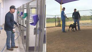 Take This Job Williamson County Regional Animal Shelter  KVUE