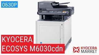 Обзор МФУ Kyocera ECOSYS M6030cdn