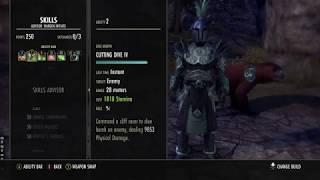 ESO Dragonbones  Stamina Warden DPS Build 40- 41k-  Happy Tree Boi