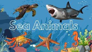 Sea Animals for Kids - Learn Sea Animal Names with Pictures  English Vocabulary  Preschool