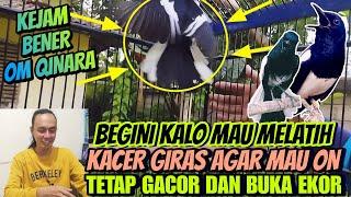 INI DIA TERBARU ⁉️ CUMA BEGINI SAJA KACER GIRAS JADI GACOR DAN BUKA EKOR  TIPS KACER BUKA EKOR