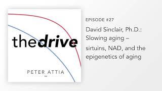 #27 – David Sinclair Ph.D. Slowing aging – sirtuins NAD and the epigenetics of aging