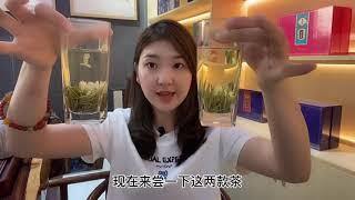 【茶小纯】茉莉花茶买什么外形会更香？直型PK卷型，茶店老板娘告诉你怎么选