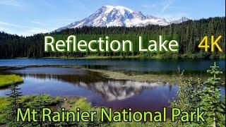 Reflection Lake - Mount Rainier National Park Washington 4k