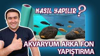 DEV AKVARYUMA KAPLAMA YAPIYORUZ Akvaryum Arka Fonu Nasıl Yapıştırılır #akvaryum #fon