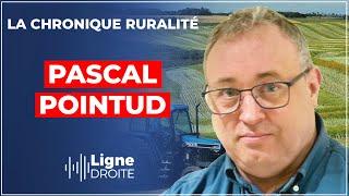 Manifs contre les méga-bassines  la tyrannie des escrologistes  - Pascal Pointud