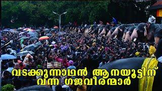 ELEPHANTS ENTRY  VADAKKUNNATHAN AANAYOOTTU 2024.വടക്കുന്നാഥൻ ആനയൂട്ടിന് വന്ന ഗജവീരന്മാർ