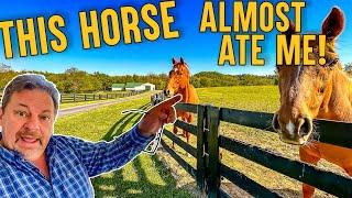 47 acre Farm Tour with House Workshop Horse Barns House and Land for Sale in Kentucky