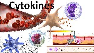 Cytokines  Structure sub families signaling mechanism and biomedical use