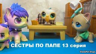 LPS СЁСТРЫ ПО ПАПЕ 13 серия