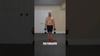 Daily Men’s Workout at Home