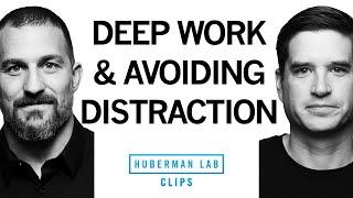 Avoiding Distractions & Doing Deep Work  Dr. Cal Newport & Dr. Andrew Huberman