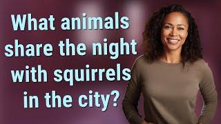 What animals share the night with squirrels in the city?