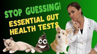 How To Fix Your Pets Gut Health Naturally - Important Pet Gut Health Tests  Holistic Vet