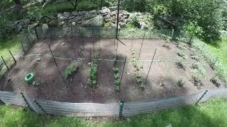 Tertill Timelapse