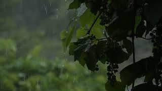 Natur PUR Regengeräusche zum einschlafen 4h