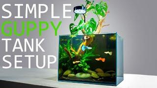 How to Setup a Simple Guppy Fish Tank TUTORIAL