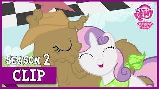 The Race Sisterhooves Social  MLP FiM HD