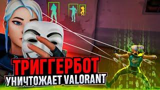 ЧИТЕРЫ С ТРИГГЕРБОТОМ УБИВАЮТ ВАЛОРАНТ  #valorant #валорант