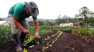 Importancia de la Agricultura Orgánica - TvAgro por Juan Gonzalo Angel