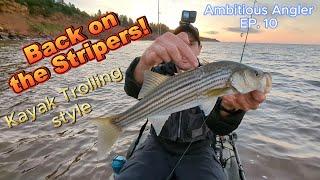 PEI Striped Bass Kayak Trolling Cinematic Intro Ambitious Angler EP. 10