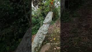 Strange Humanoid Statue in Napu Valley  Central Sulawesi 2500+Years Old