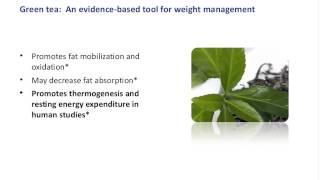 Thermogenesis Tipping the Energy Equation for Healthy Weight Management