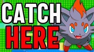 PokeMMO How To Catch Zorua