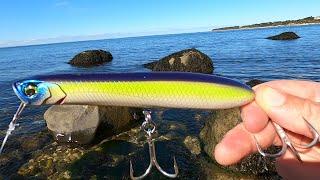 Big Beach Fish on New Topwater Lure