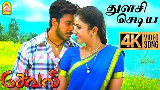 Thulasi Chediya  - 4K Video Song  துளசி செடிய  Seval  Bharath  Poonam bajwa  Hari  GV Prakash