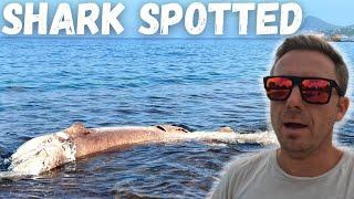 Ibiza Vlog  Shark Spotted & Saying Goodbye To Our Villas