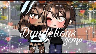 Dandelions gcmv