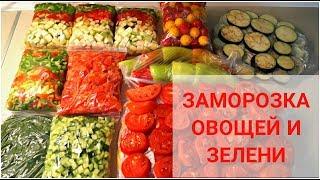 ЗАМОРОЗКА ОВОЩЕЙ и ЗЕЛЕНИ НА  ВСЮ ЗИМУ