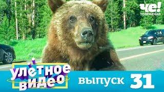 Улетное видео  Выпуск 31