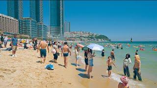 The Most Popular Travel Destination in Korea during the Summer Season  Haeundae Beach Walk 4K HDR