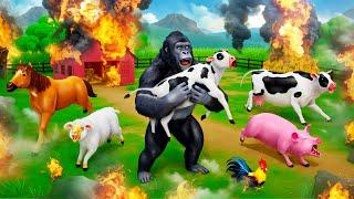 Gorillas Heroic Rescue Saving a Cow from a Fire Accident  Animal Rescue Videos 2024