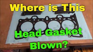 Where is This Head Gasket Blown?