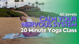 20 Minute Yoga Class - Slow Flow to Calm Your Nervous System