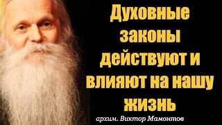 Как действуют Духовные законы на жизнь человека? архимандрит Виктор Мамонтов