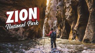 INCREDIBLE Trails Views and Wildlife in Zion National Park