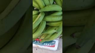 നമ്മുക്ക് Rs1000 കിട്ടിയ കുല #youtube shorts#short# viral# youtube shorts Nendran bananas#വാഴ കൃഷി